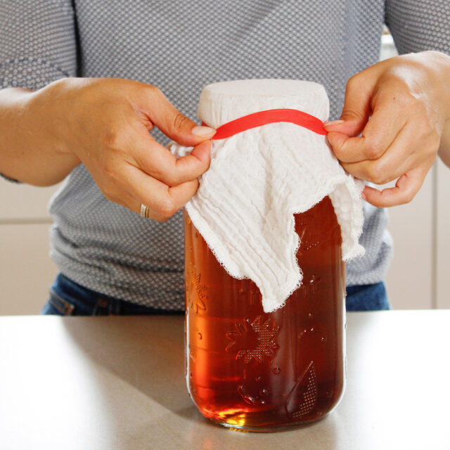 Kombucha Herstellung